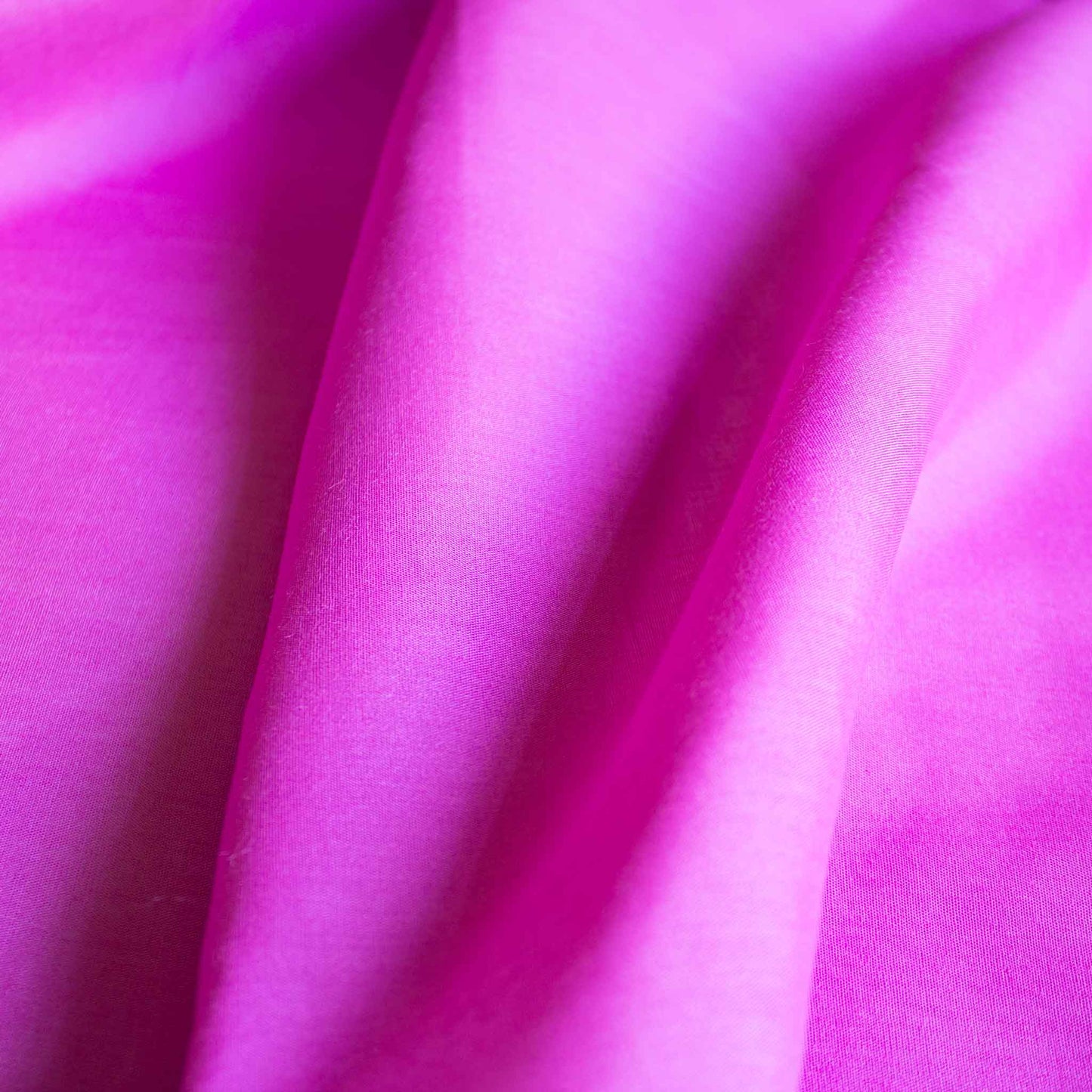 Poplintyg - Augusta Rosa 6